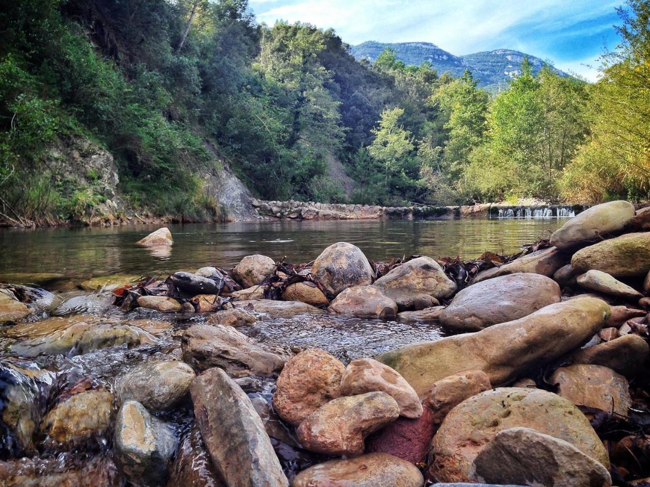 Camping Bassegoda Park Hotell Albanya Eksteriør bilde